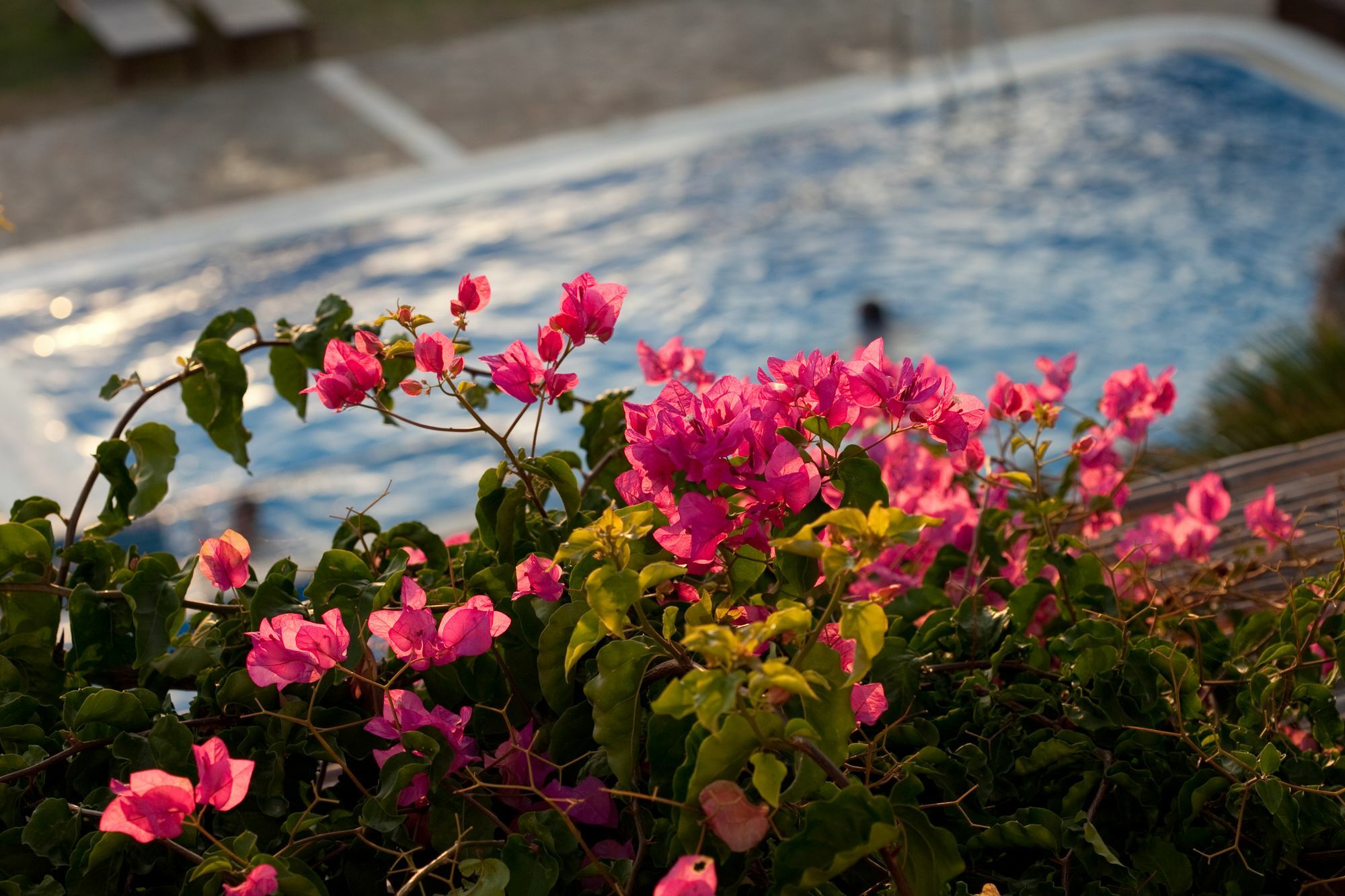 Antonina Hotel Agia Anna  Exterior photo